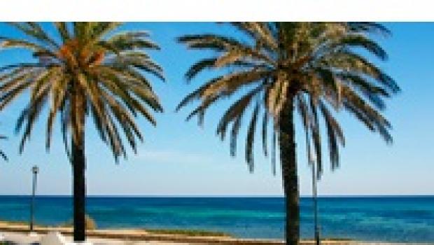 Tunisia a giugno: meteo, clima, temperatura, prezzi Quali frutti maturano